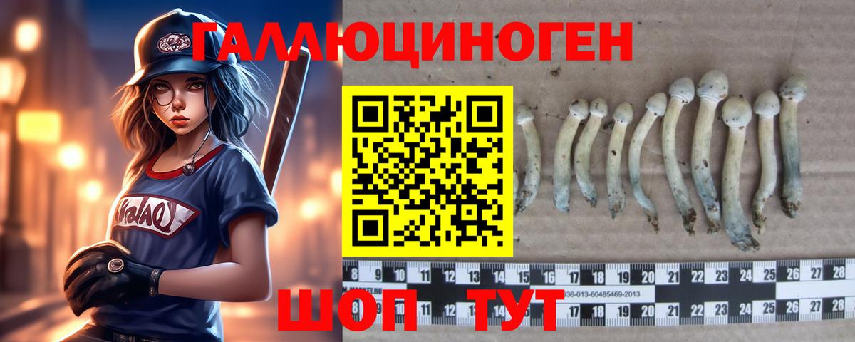 Галлюциногенные грибы Cubensis  магазин    Шебекино  Вход с VPN  Галлюциногенные грибы Psilocybine cubensis 